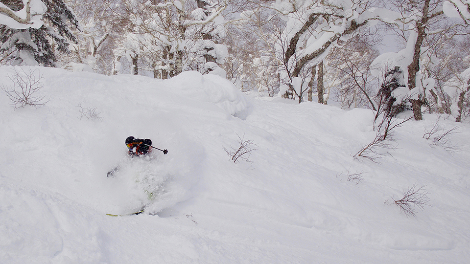 BC Skiing Hokkaido